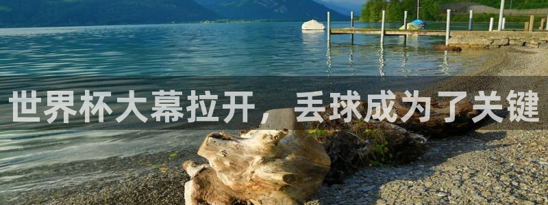 世界杯预选赛规则:世界杯大幕拉开,丢球成为了关键