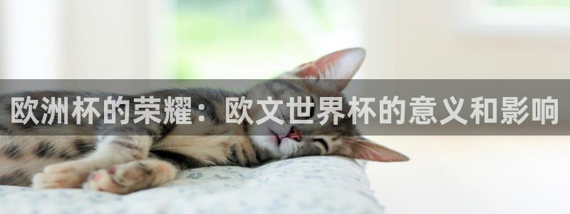 2026世界杯官网:欧洲杯的荣耀:欧文世界杯的意义和影响