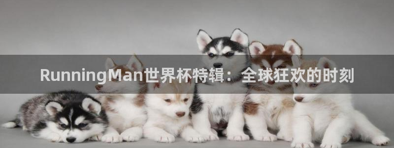 世界杯女足直播:RunningMan世界杯特辑:全球狂欢的时刻