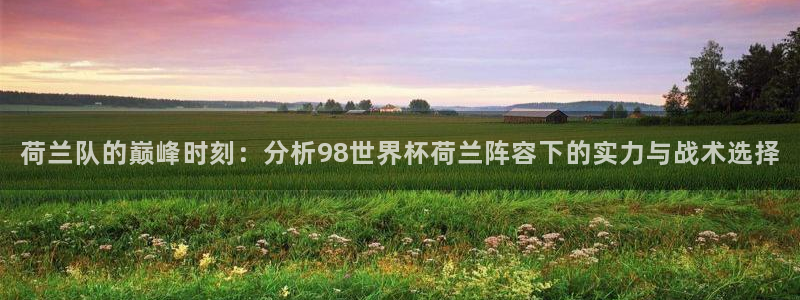 世界杯预选赛亚洲区赛程:荷兰队的巅峰时刻:分析98世界杯荷兰阵容下的实力与战术选择