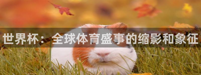 世界杯 中国:世界杯:全球体育盛事的缩影和象征