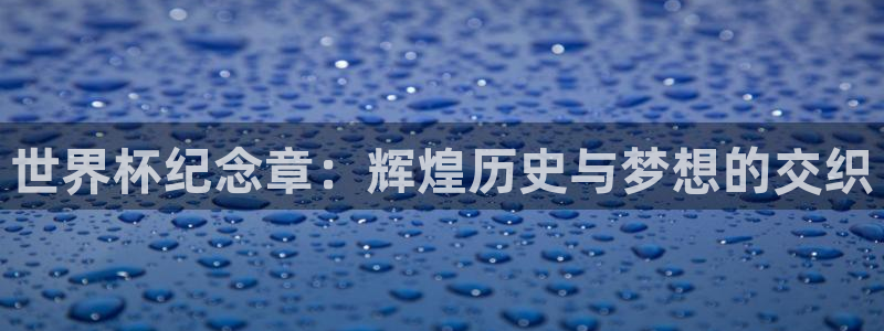 2026世界杯官网入口:世界杯纪念章:辉煌历史与梦想的交织